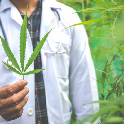 Cannabis Strains