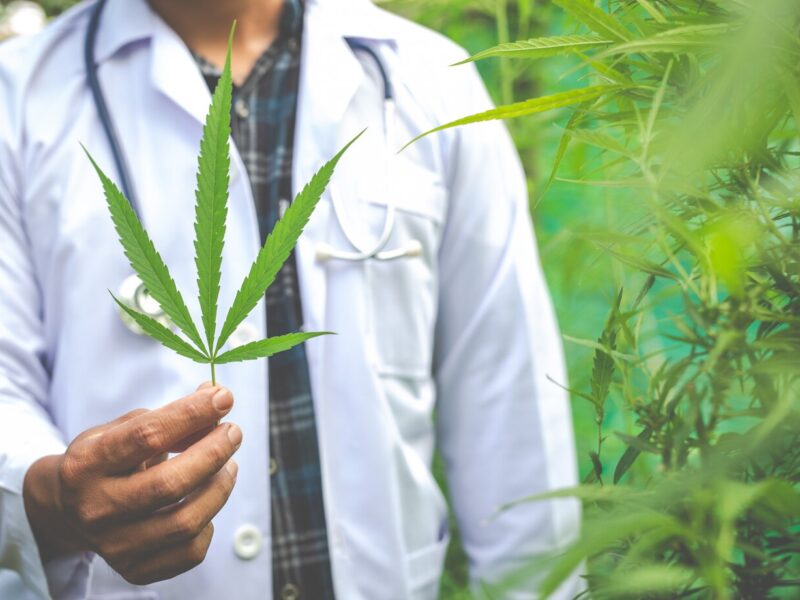 Cannabis Strains