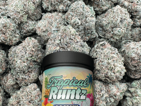 tropical runtz strain