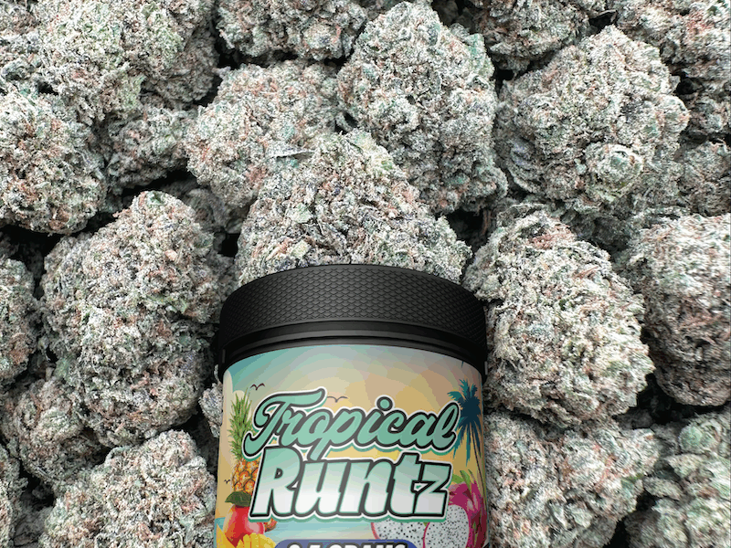 tropical runtz strain