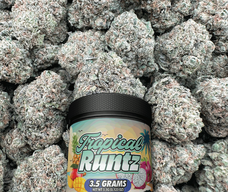 tropical runtz strain