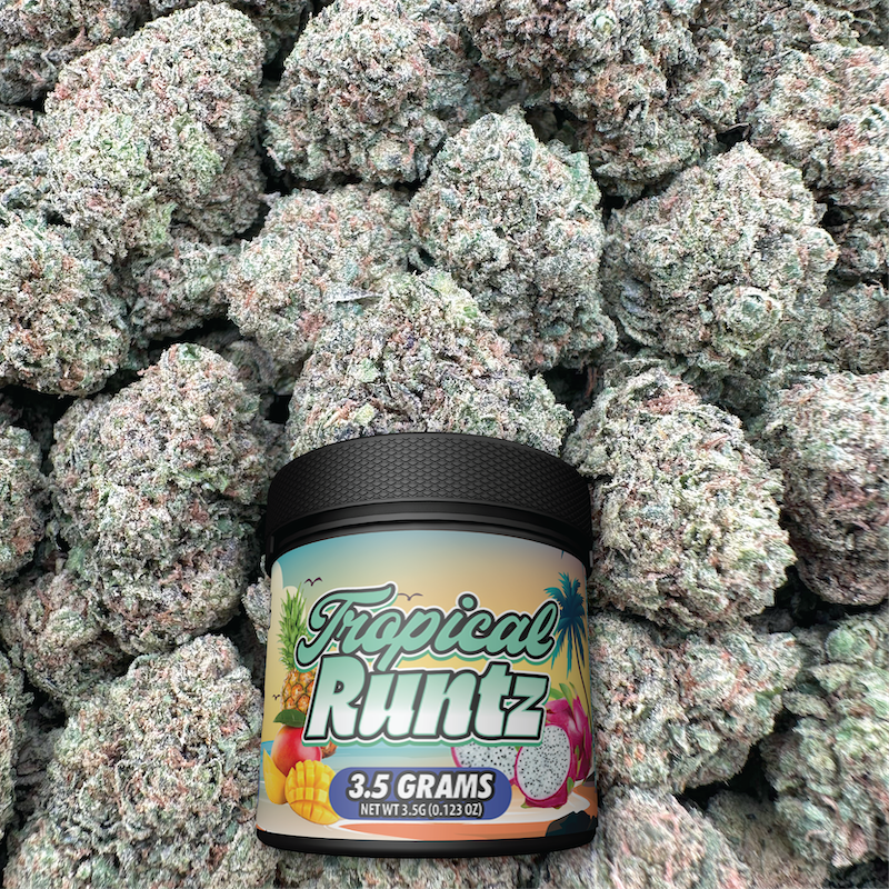 tropical runtz strain
