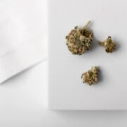cannabis edibles