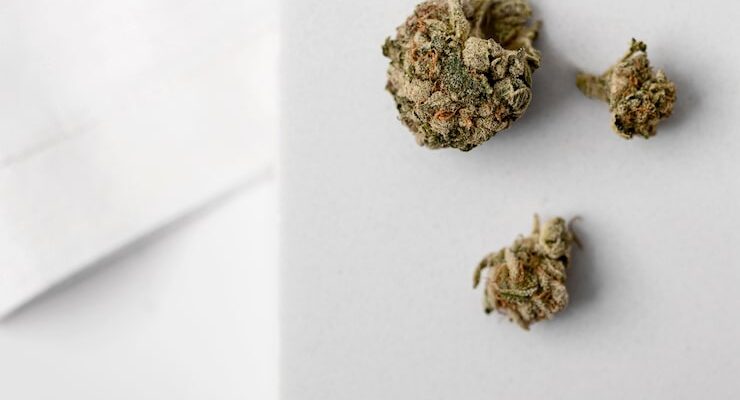 cannabis edibles