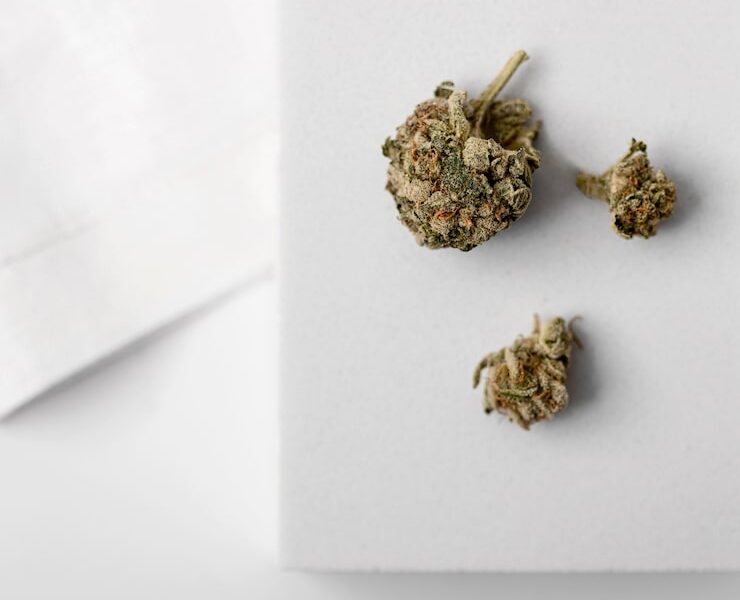 cannabis edibles