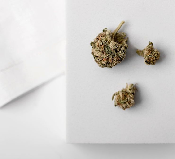 cannabis edibles