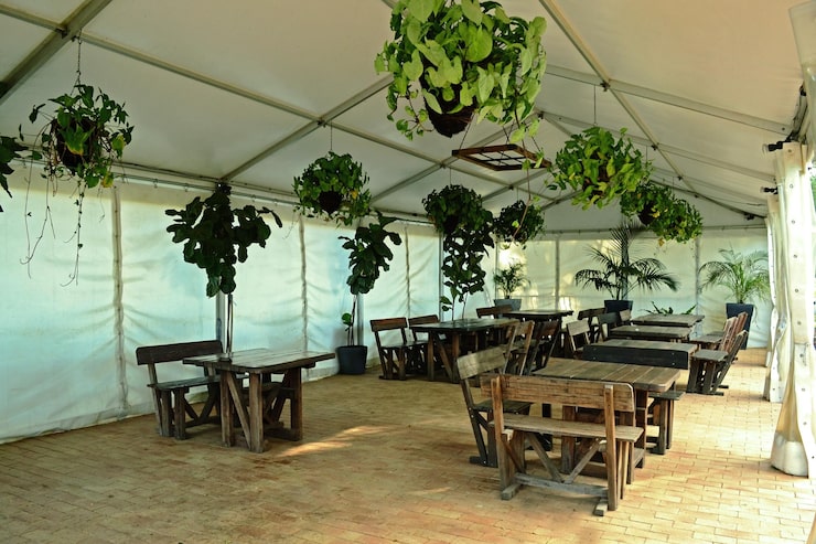 branded canopy