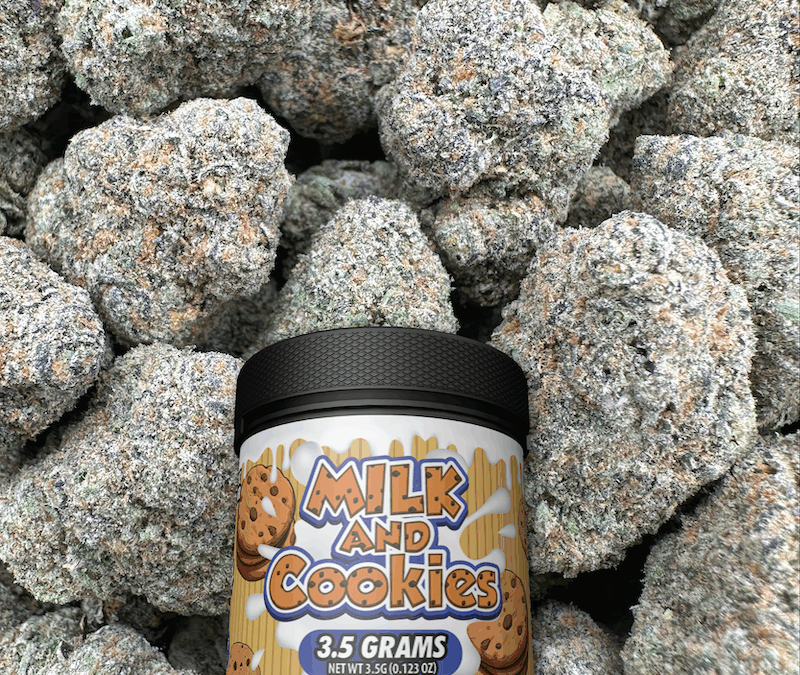 milk and cookies weed strain