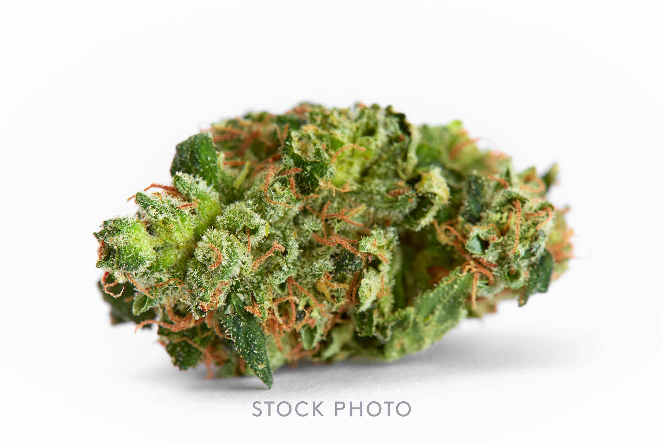 marijuana 