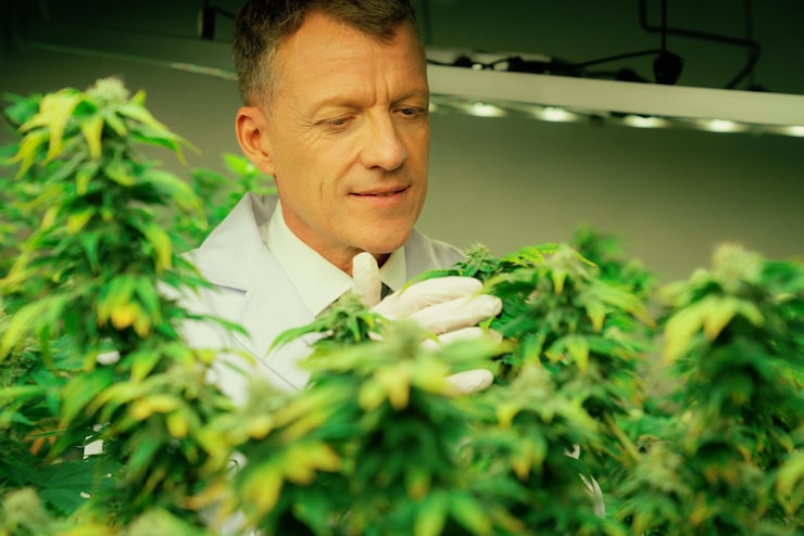 Best place to buy kratom