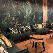 cannabis club en Madrid